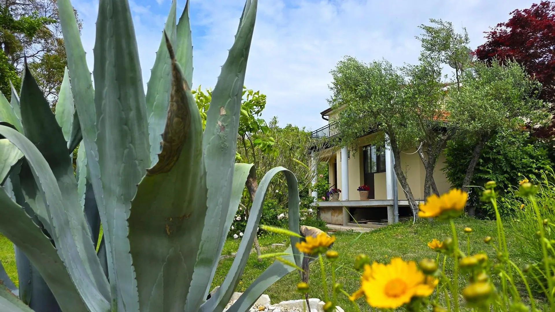 Keser Apartments Rovinj